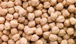 天麻豆 鹰嘴豆,营养双星闪耀健康餐桌